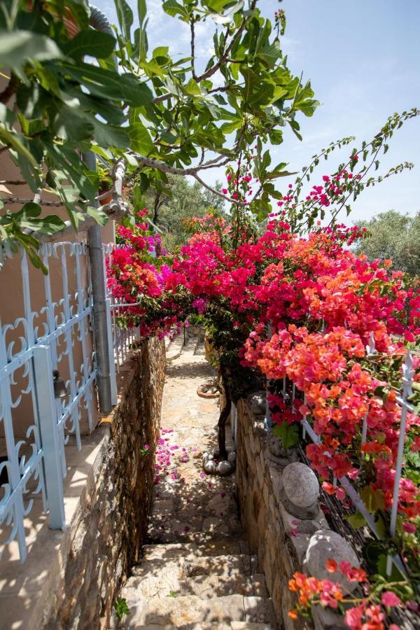 Beyaz Yunus Hotel - Adult Only Ölüdeniz Zewnętrze zdjęcie